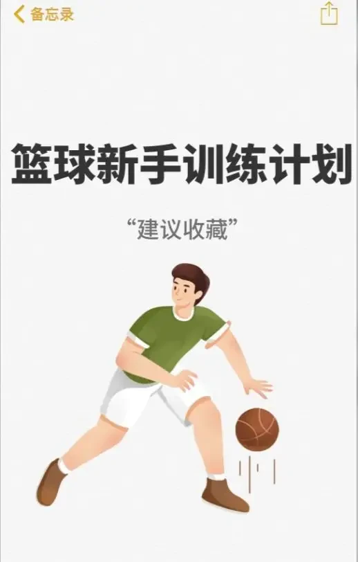 哪里能找到专业的篮球训练与发展计划_2